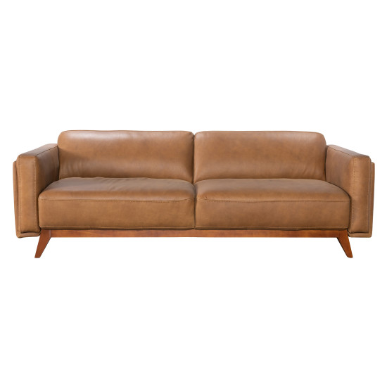Semi aniline 2025 leather sectional